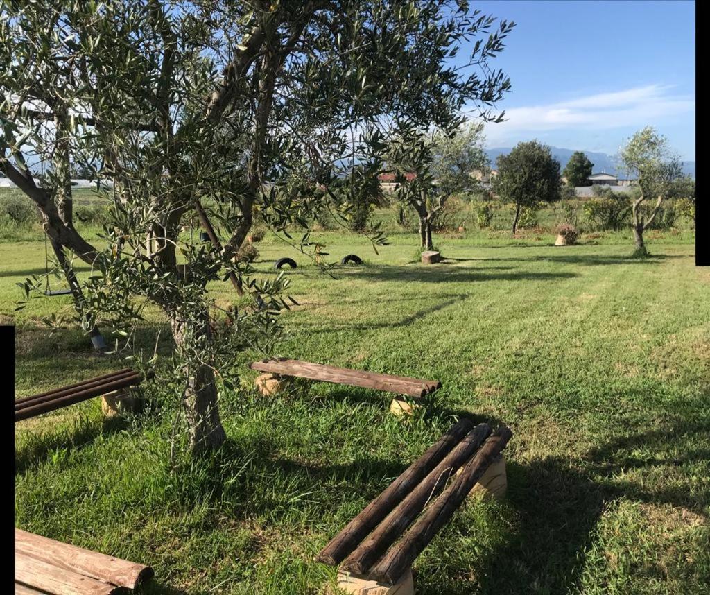 Agriturismo Il Borghetto Villa Foce del Sele Buitenkant foto